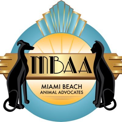 Miami Beach Animal Advocates (MBAA) is a non-profit 501 3 C, providing for the welfare of animals in need across South Florida.