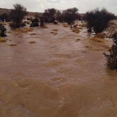 rQ9gFVypPg4Z3LG's profile picture. التواصل مع الأصدقاء.