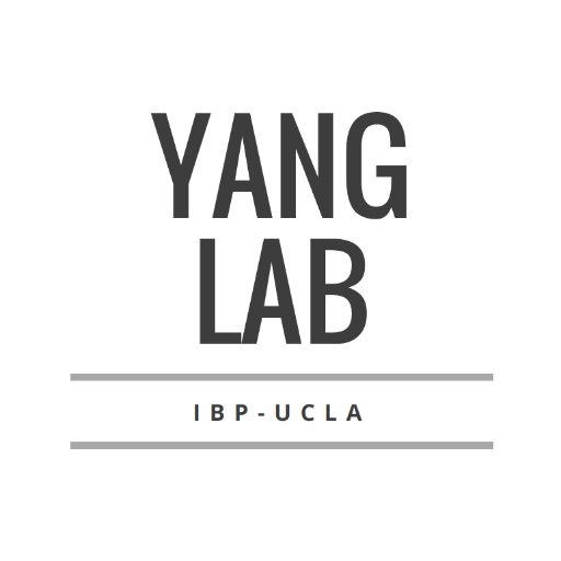 YangLabUCLA Profile Picture