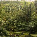 Donna Thorne - @DonnaTh68798415 - Twitter