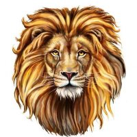 Mustafa AKSU⭐️⭐️⭐️⭐️ (@mustafaaksu7) 's Twitter Profile