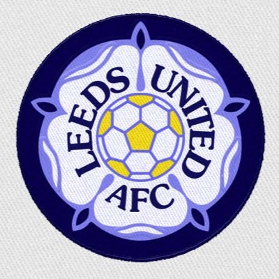 I fix cars for a living, used to fix Jets. I walk miles for fun. Leeds United.