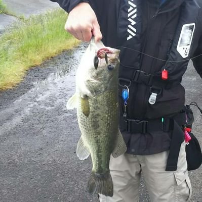 岩手内陸南部の釣り好きです。主に岩手県・宮城県、たまに秋田県で釣りしてます🎣青森県出身なので、たまに帰省して、青森でも釣りします🎣無言フォロー、失礼します❗釣り好きの方、どうぞフォローしてやってくださいm(_ _)m　釣りアカウントの方は、ほぼほぼフォロバします🎣