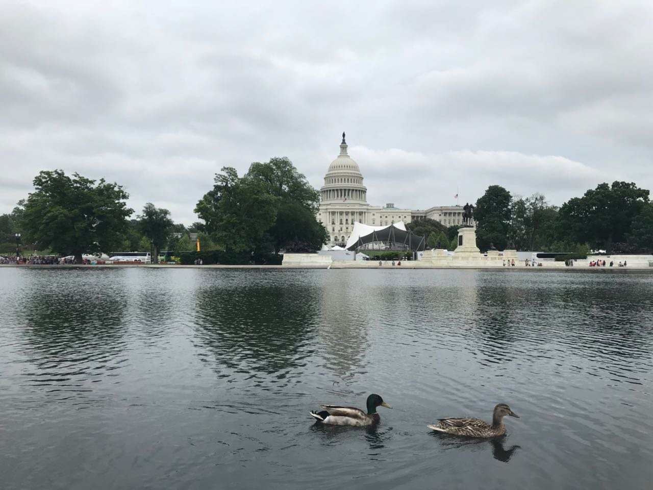 Meopongo2's profile picture. 