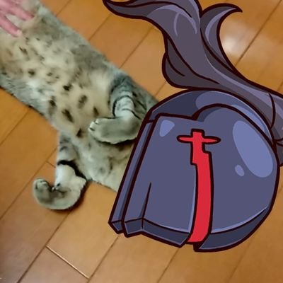 四ッ谷さんのプロフィール画像