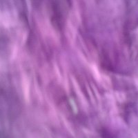 inci@kemal (@inciinc65619278) Twitter profile photo