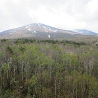 M.F.P (@m_f_p) 's Twitter Profile