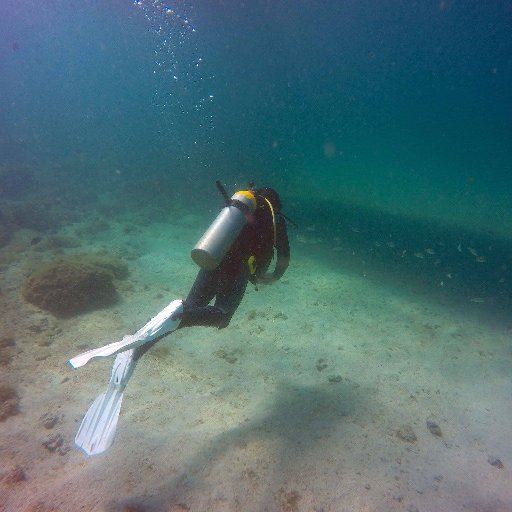 DiveAquatic's profile picture. 
