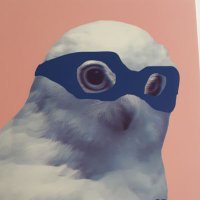 P_Motte (@p_motte) 's Twitter Profile Photo P_Motte (@p_motte) 's Twitter Profile Photo