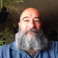 Terry Collin (@terralcol) 's Twitter Profile