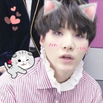 proud supporter of the kitten Yoongi agenda