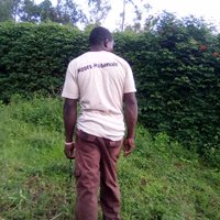 moses Musamude (@moseswangila1) 's Twitter Profile