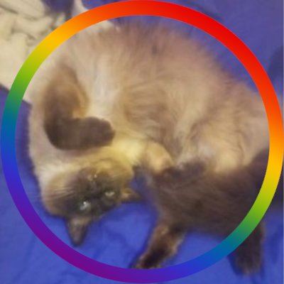 hunnypunny83's profile picture. We should kiss the girls we want to kiss - Maggie Sawyer