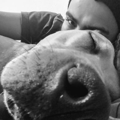 dematz's profile picture. 