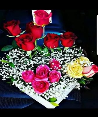 jsmlWahvLJpIIap's profile picture. 