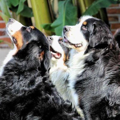 UPAEP_'s profile picture. 😬