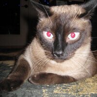 lucy morgan (@lucytimes) 's Twitter Profile