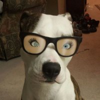 Brad Bancroft (@bradbancroft_66) 's Twitter Profile