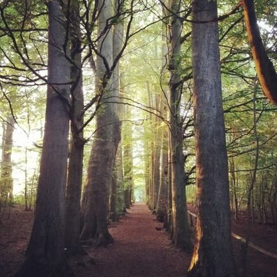 fbams's profile picture. liberte egalite fraternite (and open source technologies) a tout le monde. (re)tweets may contain music, motorcycles, satire, travel, and football. #books