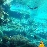 魚街さんのプロフィール画像