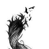 TaraXd12345's profile picture. 