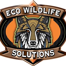 Welcome to Eco Wildlife Solutions, LLC via Twitter. We operate a nuisance wildlife business that covers all your nuisance wildlife needs in west central GA.