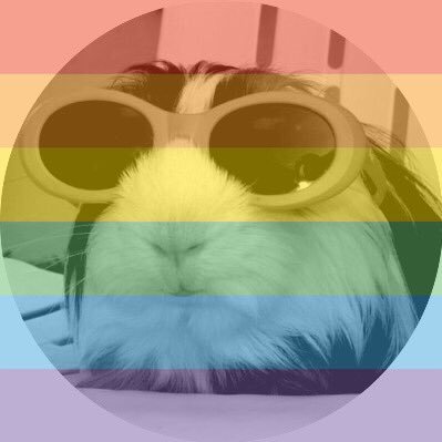 julia___bee's profile picture. the top cheese, the queen mosquito 👒🌬🌱✉️