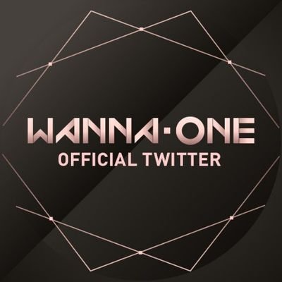 Wannaoneの動画と画像を主にツイートしてます