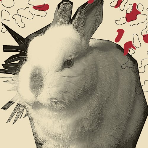 rabbits4ever