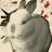 rabbits4ever's avatar