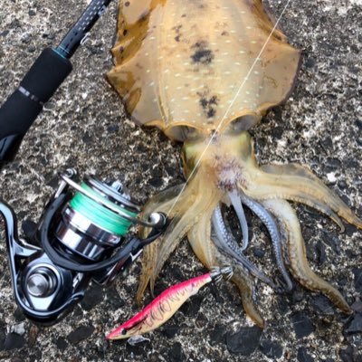 asuka916k's profile picture. 