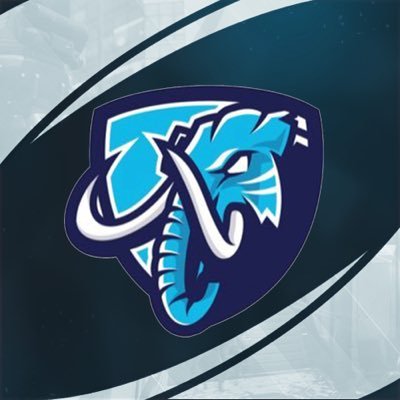 The Official Twitter of DarX eSports. #DarXNation #DarXCares Business Inquires: darxesports@gmail.com
