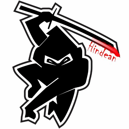 Hindean's profile picture. Software Engineer, Video Game Enthusiast, -play hard die fast-  ♦
