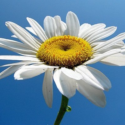 debsalex123's profile picture. 