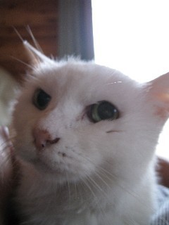 yamarinco's profile picture. ミスチル、Uverworld、JAGATARAなどが好きです。スポーツ観戦【特にラグビー、野球など】、スイーツ中心に食べ歩き、映画、テレビドラマなどが大好きです。猫と暮らしていて、猫大好きです。日本が、誰もが安心して普通に暮らせる貧困のない国になる事を望んでます。法政大学出身です。よろしく。