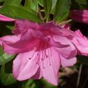 Meredith McCormick - @MeredithMcCorm - Twitter