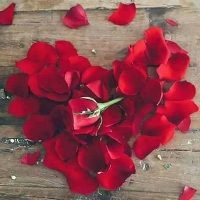 gJwdGBppVxNxr3Q's profile picture. 