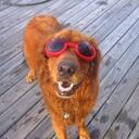 Abby Bentley - @abbalino - Twitter