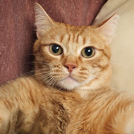 sswo_wong's profile picture. 