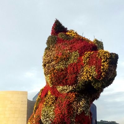 Ilupiola's profile picture. 