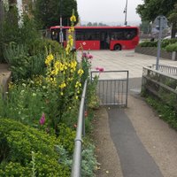 SouthWoodfordGardeners (@swgardeners) 's Twitter Profile