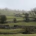wensleydaleman (@wensleydaleman1) Twitter profile photo wensleydaleman (@wensleydaleman1) Twitter profile photo