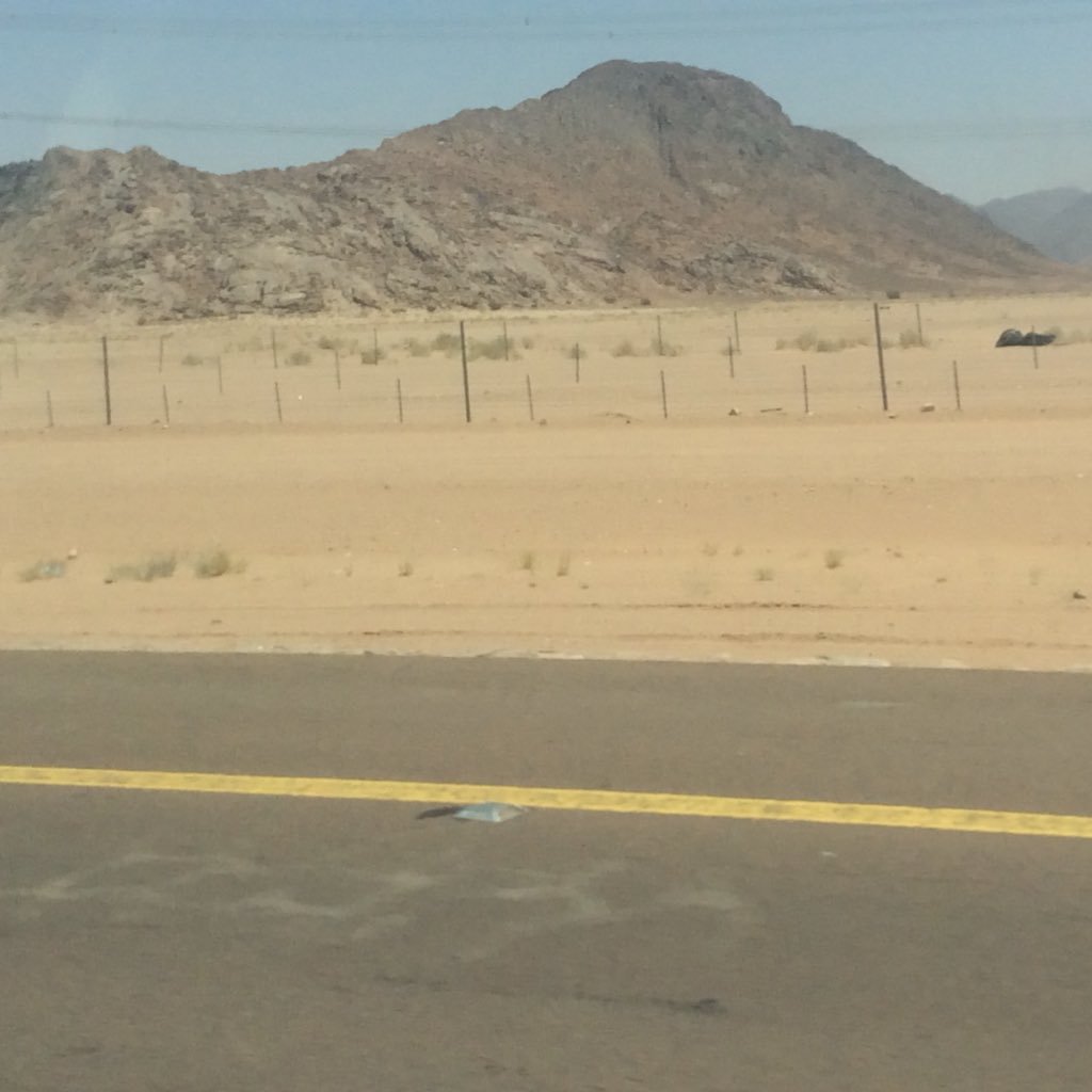 Mohamed46440688's profile picture. 