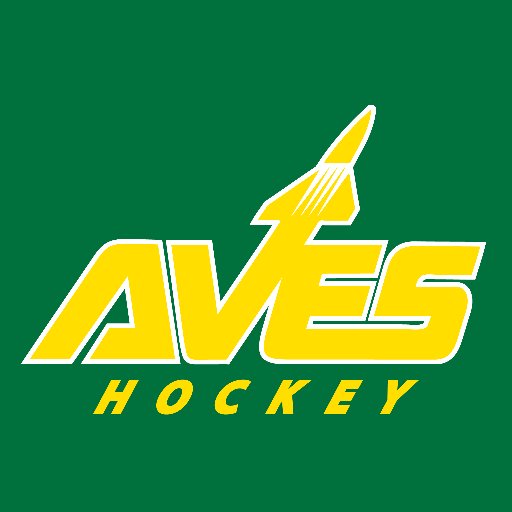 @AvesHockey