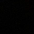 .🍚🇦🇫. (@reiscod) 's Twitter Profile