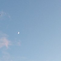 h (@peaches_and_you) 's Twitter Profile Photo