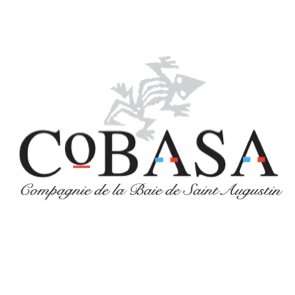 CobasaInvest Profile Picture