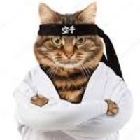 Mr. Meowgi π± (@_meowgi) 's Twitter Profile