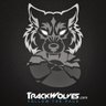 TrackWolvesXL's profile picture. Providing the best music to the masses