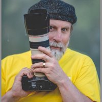 Dave anderson (@brockleylion) 's Twitter Profile Photo Dave anderson (@brockleylion) 's Twitter Profile Photo